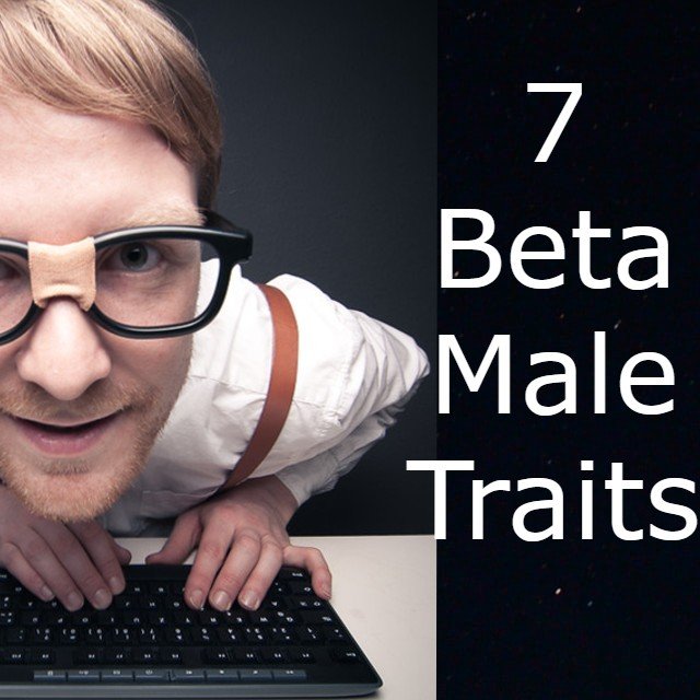 Beta Male Traits